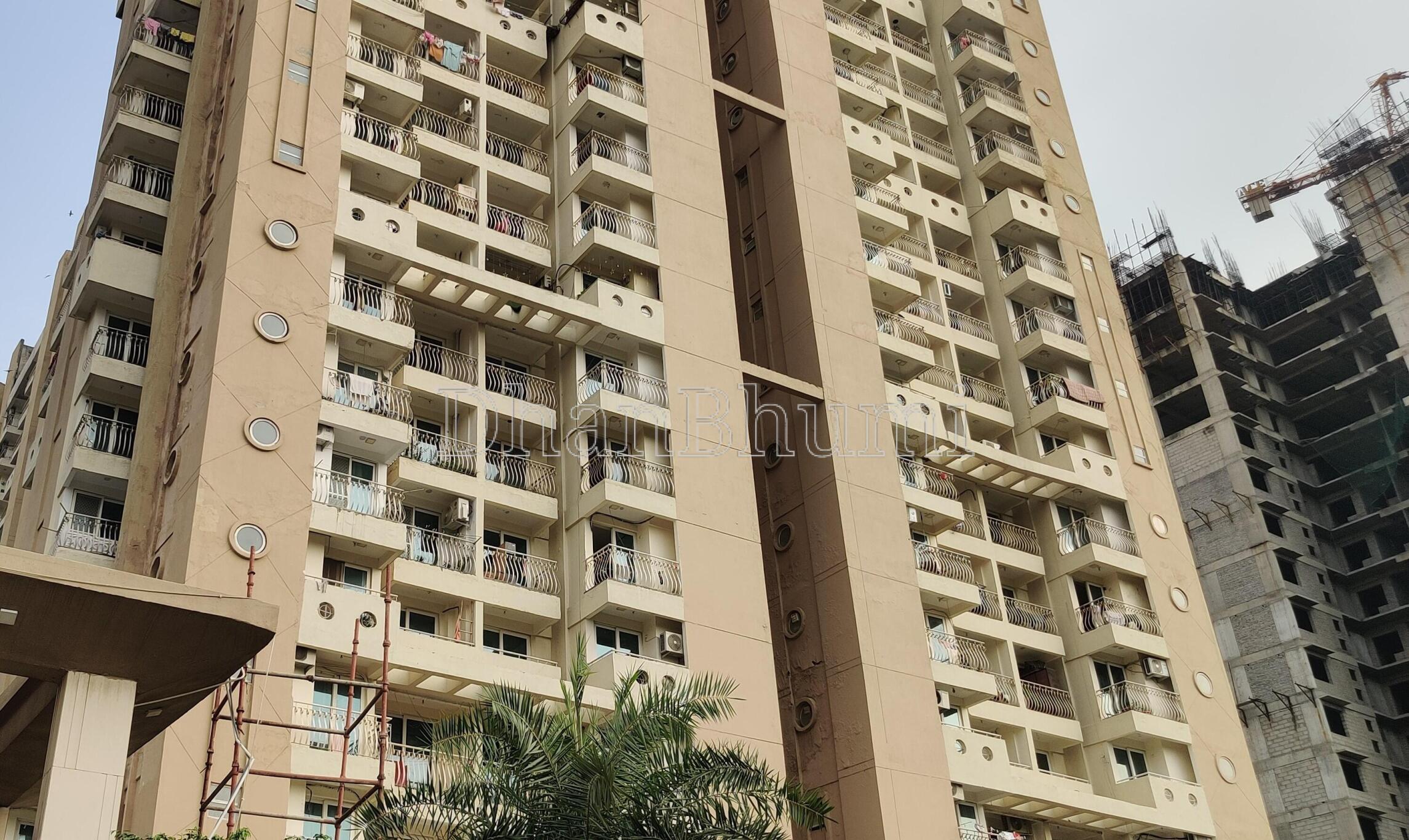 Sikka Kaamna Greens