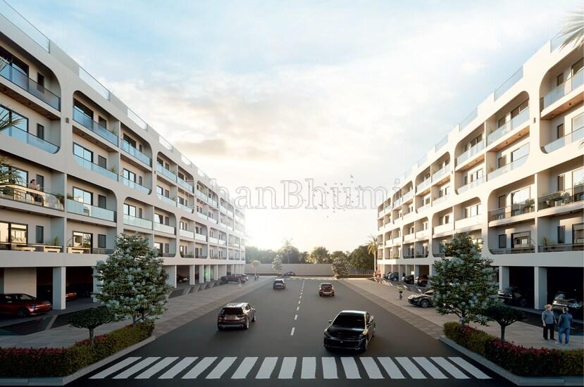VKS Palm Floors
