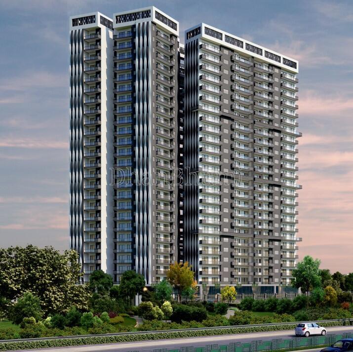 Sarena Iris Prime