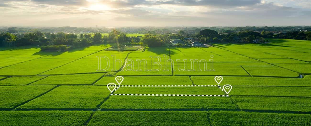 Trident Plots, Sector 19A, Panipat